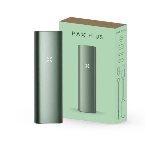 pax plus vapouriser in sage green